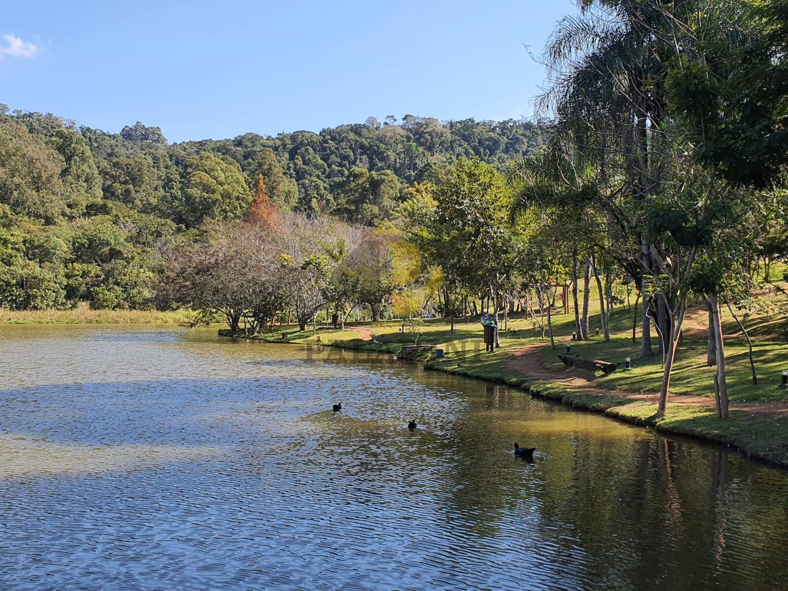 Terreno à venda, 360m² - Foto 11